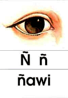 &ntilde; - &ntilde;awi